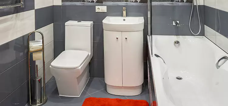 Hansgrohe Shaving Mirror Huntersville